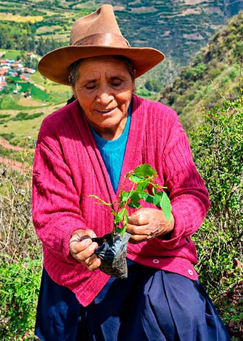 Imagen de Huascar Expeditions